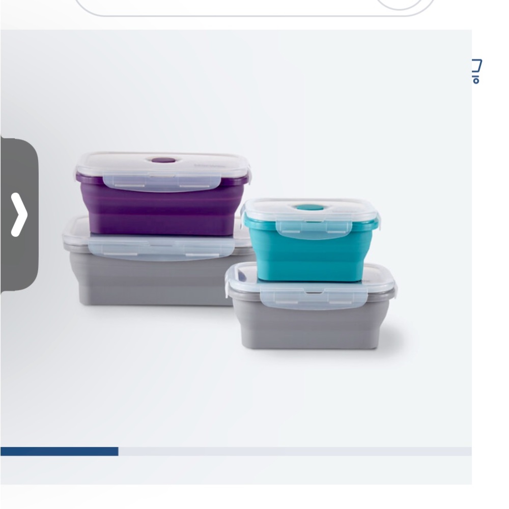 Silicone Food Storage Containers set set of 4. By Norwex. Prices mostly FIRM.